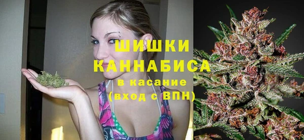 мдма Дмитриев