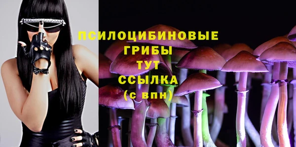 Альфа ПВП Дмитровск