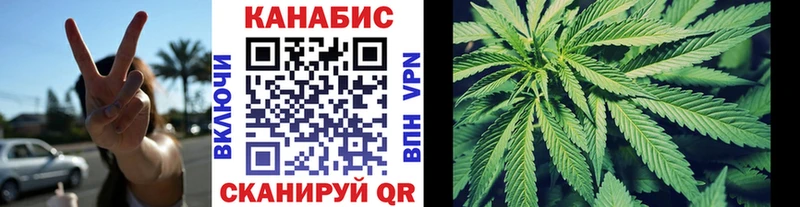Бошки марихуана конопля Новый Уренгой
